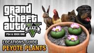 Image via GTASeriesVideos.com